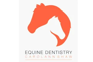 s_dentistry